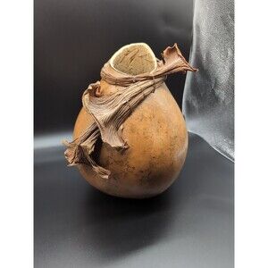 Rare Unique Natural Gourd Vase Urn Art Handmade 11"